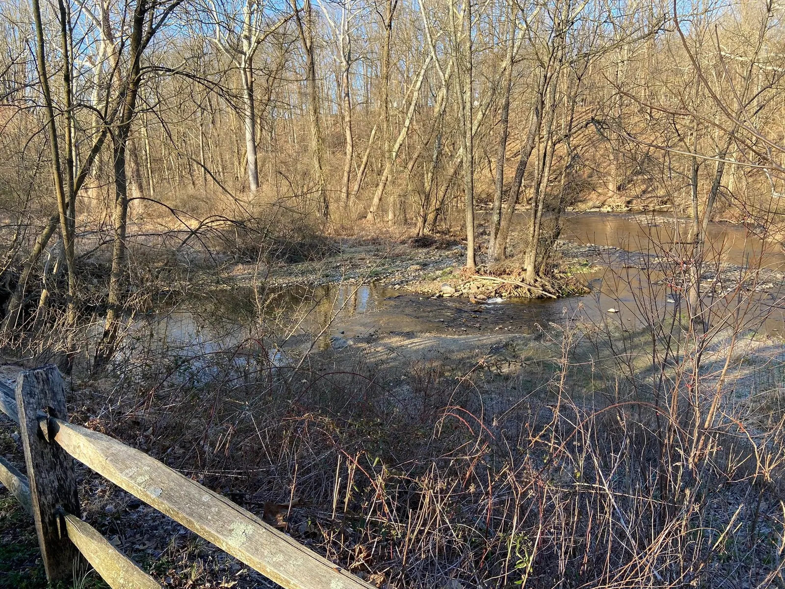 East Branch Brandywine Creek from the Struble Trail