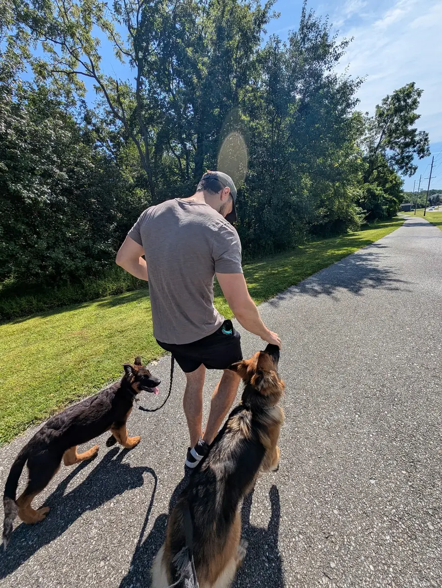 Kyle seen from behind, walking Bailey and Archie on a sunny paved trail